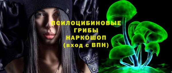 прущие крисы Ельня