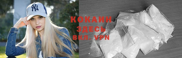 индика Дмитровск