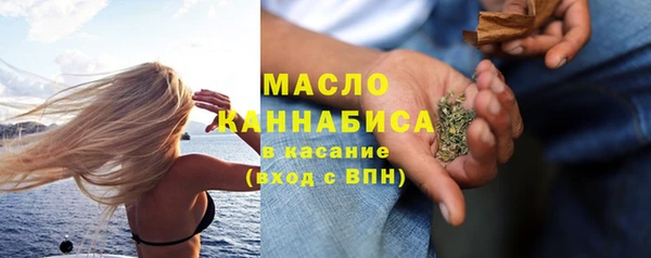 индика Дмитровск