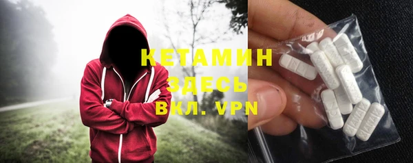 индика Дмитровск