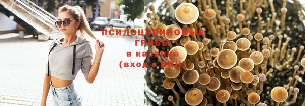 2c-b Зерноград