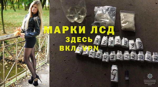 индика Дмитровск