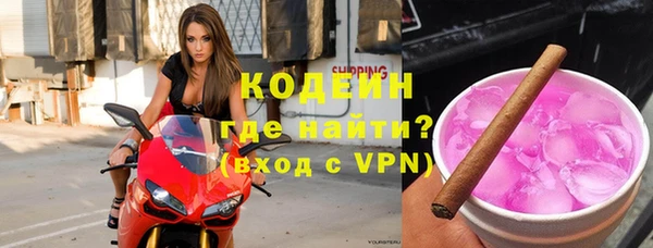 индика Дмитровск
